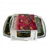 КУПИЧКИ ТОКИО K-KT 54663/12СМ+54942/18СМ,PASABAHCE